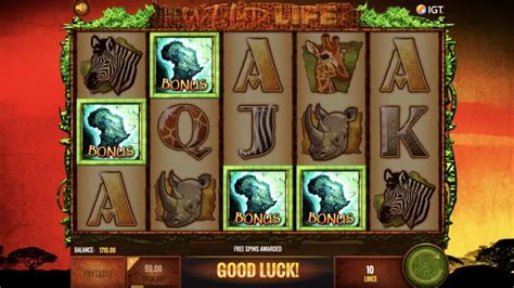 The Wild Life Slot Review – Find Free Games & Bonuses!.